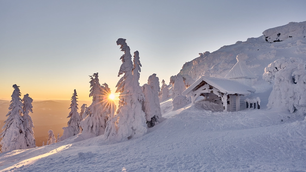 Cubea – privater Rückzugsort im Bayerischen Wald Verschneite Bäume und kleines Haus bei Sonnenaufgang in den Bergen