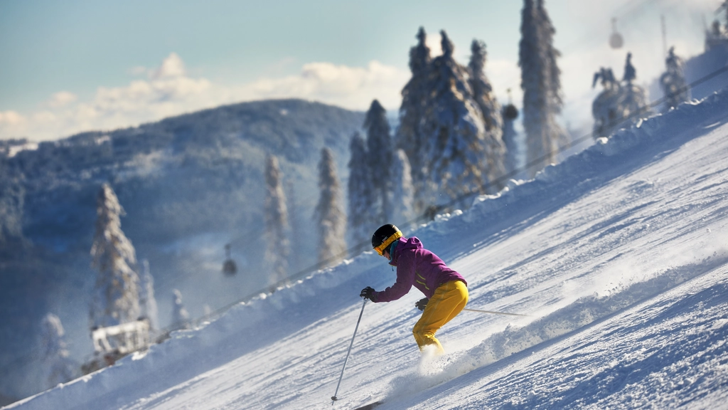 Cubea – privater Rückzugsort im Bayerischen Wald Skifahrer in bunter Kleidung fährt einen schneebedeckten Hang hinunter