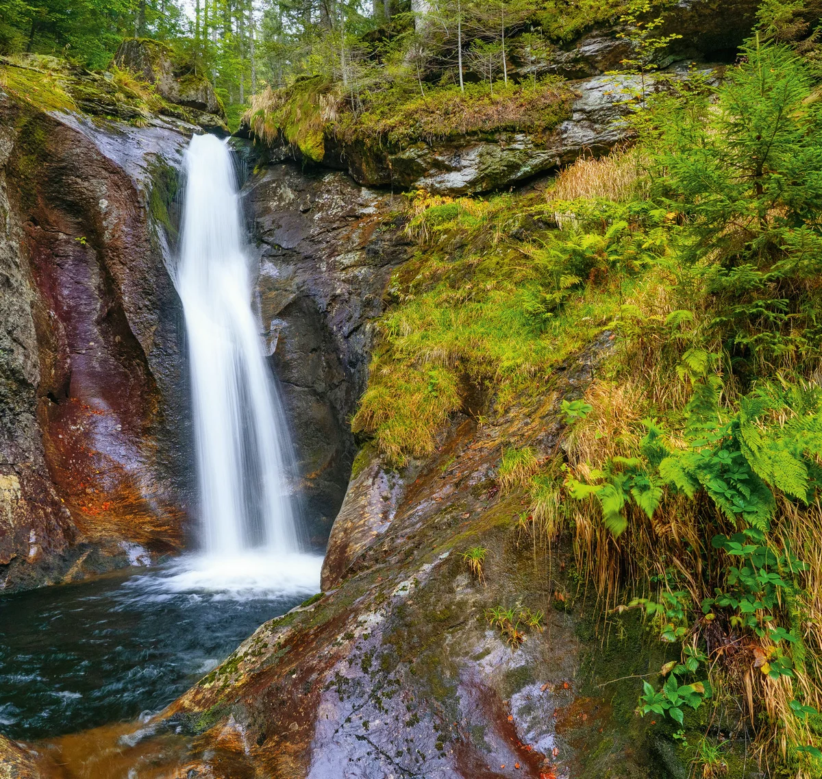 Cubea | Chalet-Apartments in Bodenmais für hohe Ansprüche Wasserfall in einem bewaldeten, felsigen Tal mit grünem Moos und Farnen