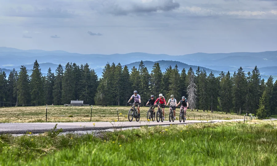 Cubea | Chalet-Apartments in Bodenmais für hohe Ansprüche Fünf Radfahrer fahren auf einer Straße vor einem Wald und Bergen