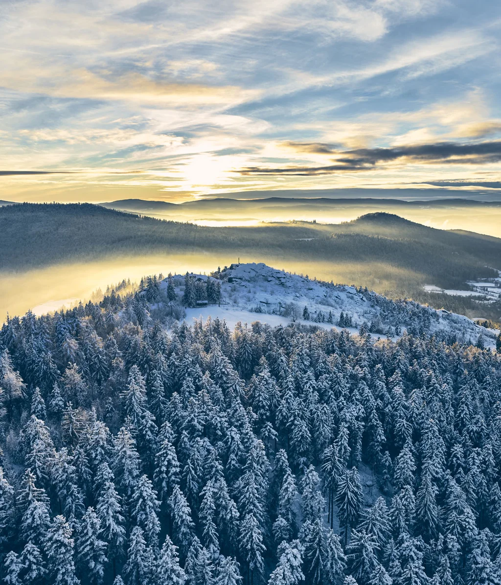 Cubea | Chalet-Apartments in Bodenmais für hohe Ansprüche Verschneiter Wald und Hügel im Sonnenaufgang mit Nebel im Tal