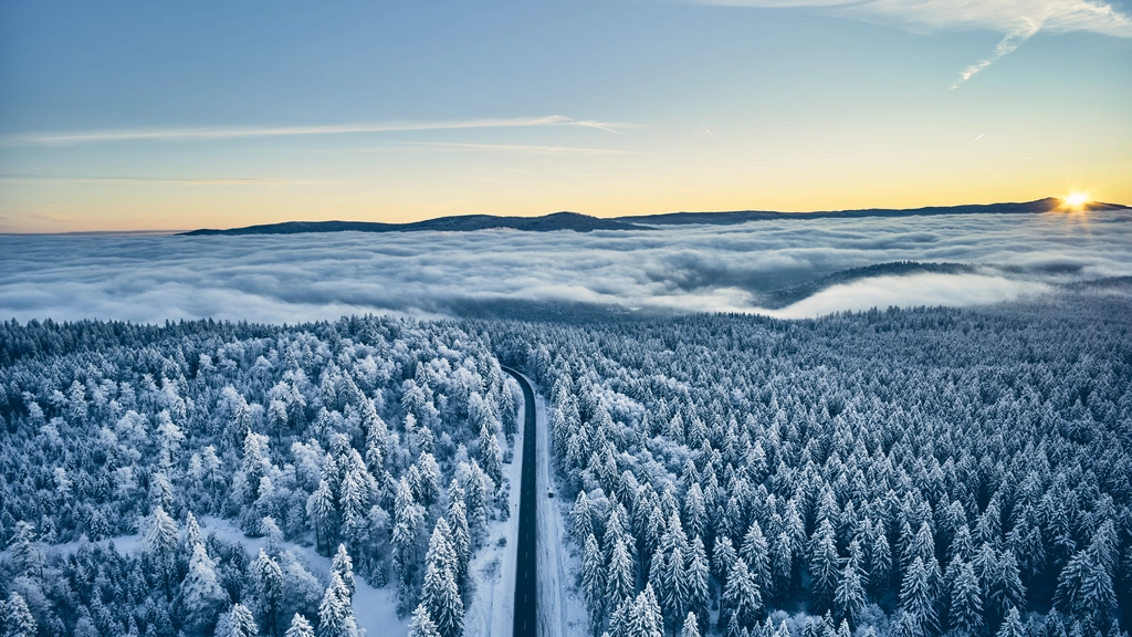 Cubea – privater Rückzugsort im Bayerischen Wald Schneebedeckter Wald mit Straße, Berge und Sonnenaufgang über Wolken