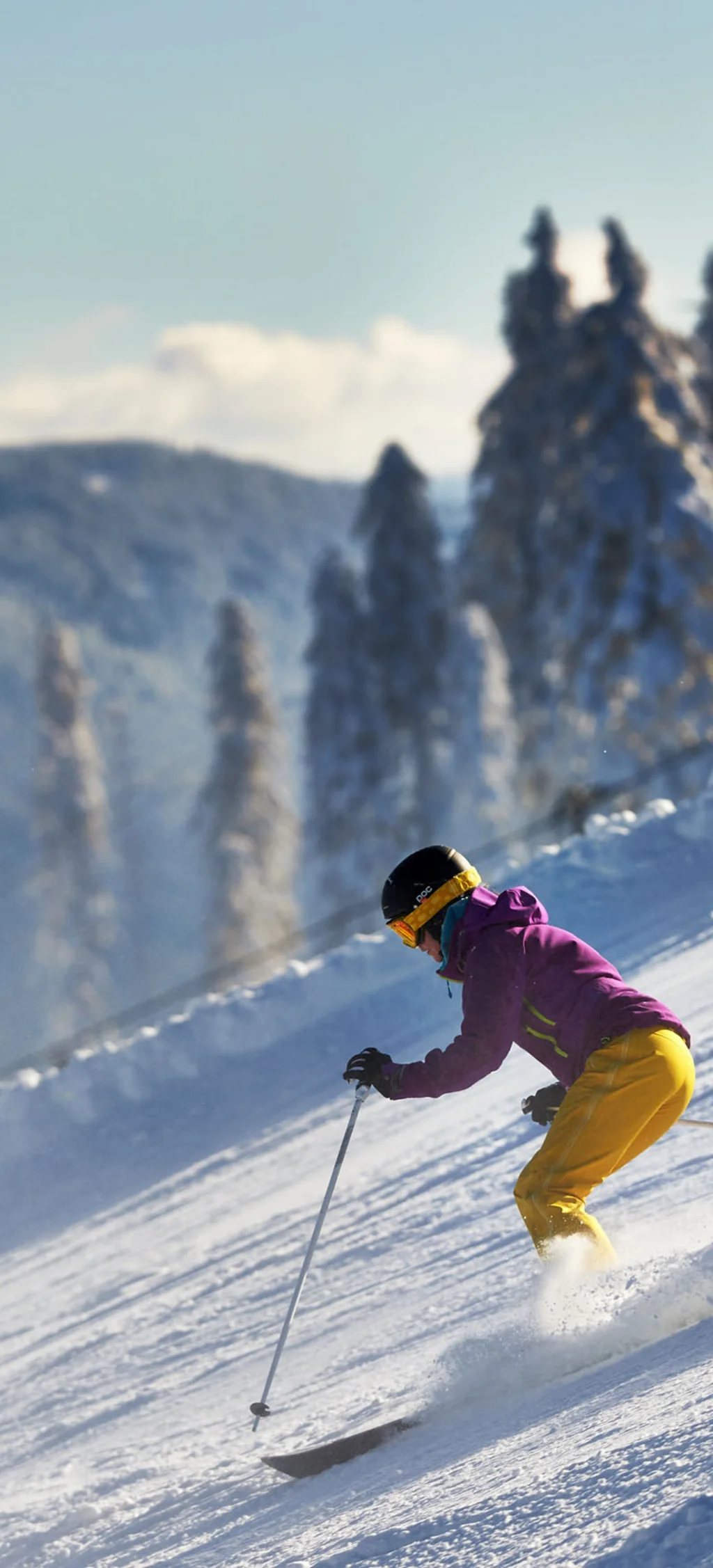 Cubea | Chalet-Apartments in Bodenmais für hohe Ansprüche Skifahrer in gelber Hose und lila Jacke auf schneebedecktem Hang