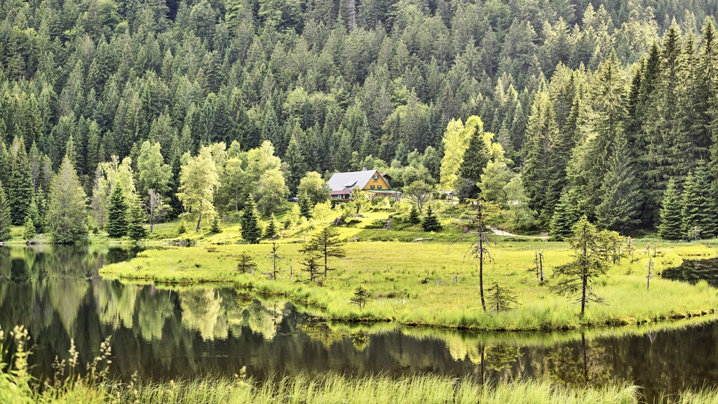 Cubea – privater Rückzugsort im Bayerischen Wald Haus am Waldrand mit See und grüner Wiese im Vordergrund