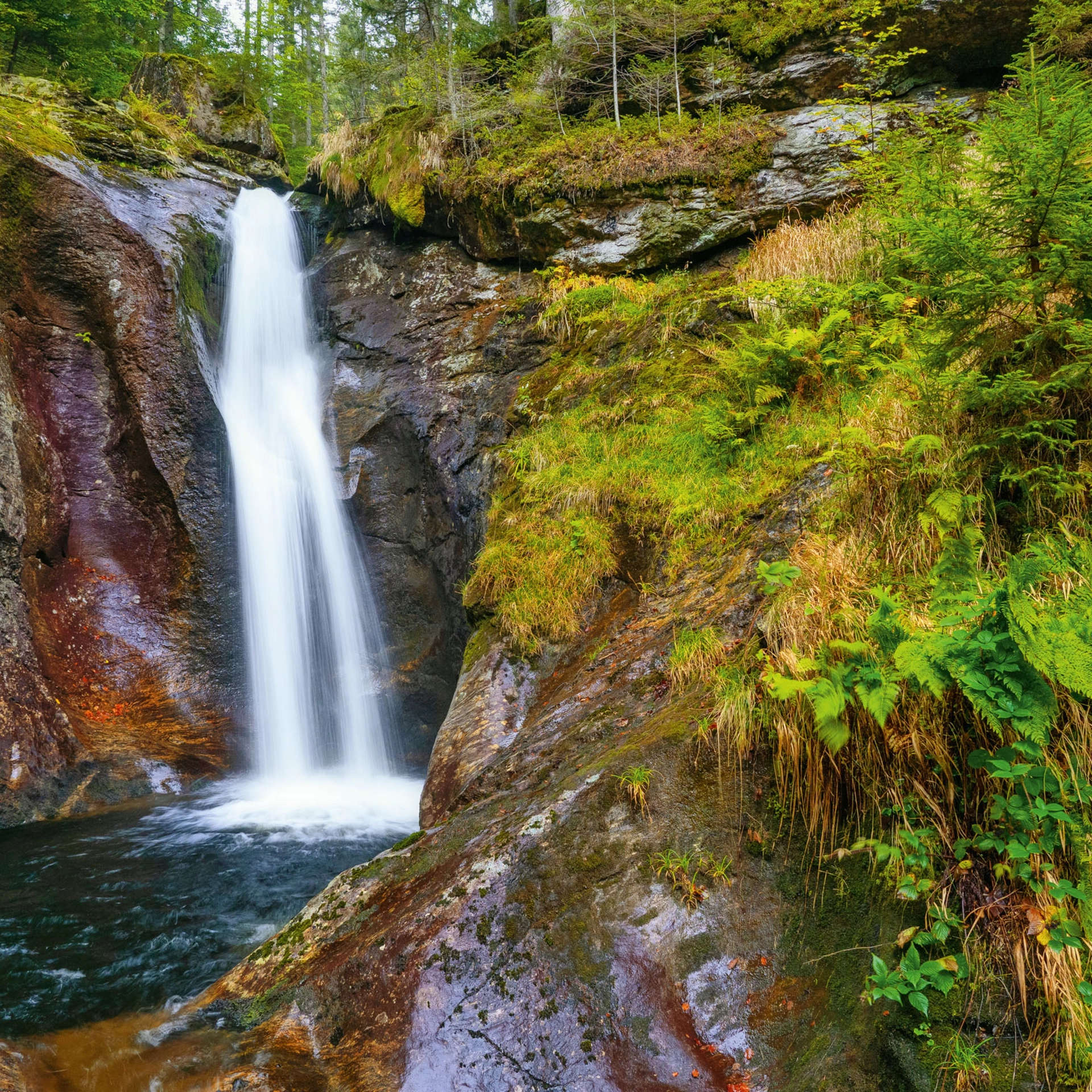 Cubea – privater Rückzugsort im Bayerischen Wald Wasserfall in einem bewaldeten felsigen Tal mit grünem Moos
