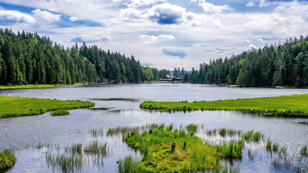 Cubea – privater Rückzugsort im Bayerischen Wald See mit grünen Inseln und Wald unter bewölktem Himmel