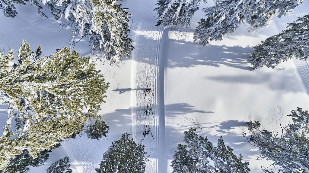 Cubea – privater Rückzugsort im Bayerischen Wald Skilangläufer auf schneebedecktem Waldweg umgeben von verschneiten Bäumen
