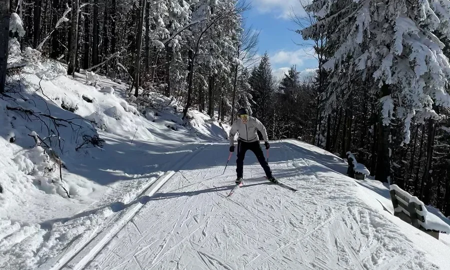 Cubea | Chalet-Apartments in Bodenmais für hohe Ansprüche Langläufer auf verschneiter Waldloipe bei sonnigem Winterwetter
